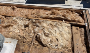 Commercial flat roof in Auburn opened up at a soft spot, showing rotted decking and wet insulation between the framing
