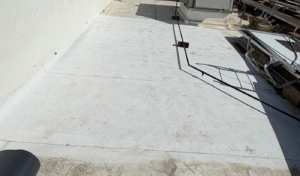 New white TPO membrane along the parapet wall of a commercial flat roof in Auburn after a soft spot repair