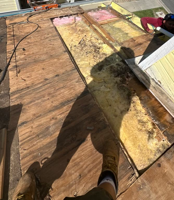 Dry rot in the roof deck of an Elk Grove tile roof after the old underlayment and battens were removed