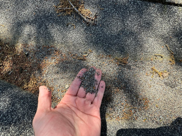 Handful of shingle granules from a worn Rocklin roof, a sign the shingles are failing
