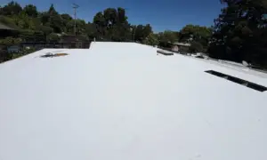 Finished TPO flat roof replacement on a Sacramento home with new skylights